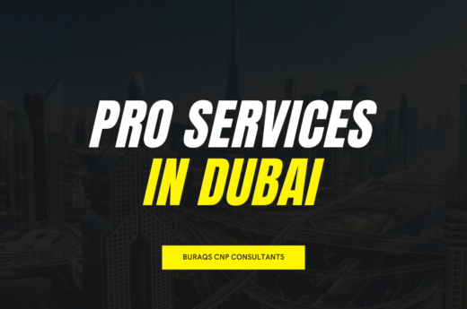 PRO Services Dubai 2025: Your Complete Guidance by Buraqs CNP